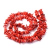 Natural Shell Beads Strands BSHE-D003-4-2