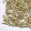 Electroplate Glass Bugle Beads SEED-S029-02B-04-2