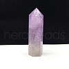 Point Tower Natural Amethyst Home Display Decoration PW23030648201-1