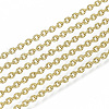 3.28 Feet 304 Stainless Steel Chains X-CHS-S001-12A-G-1