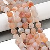 Natural Red Agate Beads Strands G-A248-A03-01-1