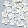 Natural White Shell Beads SSHEL-S260-059B-1