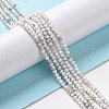 Natural Howlite Beads Strands G-H273-02A-3