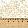 Baking Paint Glass Seed Beads SEED-B001-02A-06-4