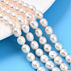 Natural Cultured Freshwater Pearl Beads Strands PEAR-N012-06Z-01-1