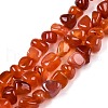Natural Agate Beads Strands G-N342-65C-2
