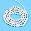 Natural Cultured Freshwater Pearl Beads Strands PEAR-N012-02X-01-3