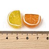 Handmade Lampwork Beads LAMP-S079-12-4