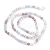 Gradient Color Electroplate Glass Bead Strands X-GLAA-E042-04B-2