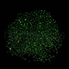 Luminous Glass Seed Beads SEED-A033-07K-5