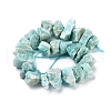 Natural Amazonite Beads Strands G-I283-F01-2