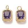 Brass Glass Charms X-ZIRC-F116-09B-G-1