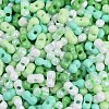 Glass Seed Beads X1-SEED-K010-03H-2