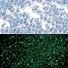 Luminous Glass Seed Beads SEED-A033-07G-1