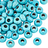   100Pcs Dyed Synthetic Turquoise European Beads SPDL-PH0001-03-1
