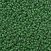 MIYUKI Round Rocailles Beads SEED-JP0008-RR0431-3