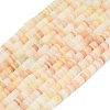 Natural Red Aventurine Beads Strands G-P575-B05-6x1mm-01-2