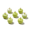 Opaque Resin Pendants RESI-G037-02-1