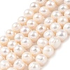 Natural Cultured Freshwater Pearl Beads Strands PEAR-I007-07U-04B-2