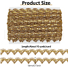 10 Yards Polyester Braided Metallic Lace Trim DIY-WH0491-47B-2