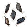 Brass Pave Natural Labradorite Feather Connector Charms G-Q350-03A-1
