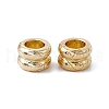 Alloy European Beads FIND-B013-24LG-2
