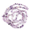 Natural Lepidolite/Purple Mica Stone Beads Strands G-G0003-B07-3