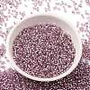 Glass Seed Beads SEED-S042-04B-15-2