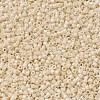MIYUKI Delica Beads X-SEED-J020-DB0204-3