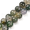 Natural Moss Agate Beads Strands G-J358-01-10MM-2