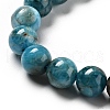 Natural Apatite Beads Strands G-G858-02B-4