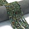 Natural African Turquoise(Jasper) Beads Strands G-A260-A16-01-1