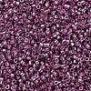 MIYUKI Delica Beads SEED-X0054-DB1848-3
