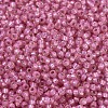 MIYUKI Round Rocailles Beads SEED-X0054-RR0556-2
