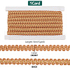 Polyester Braided Lace Ribbons OCOR-WH0092-17B-2