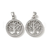 Brass Micro Pave Cubic Zirconia Pendents X-KK-R210-21P-01-1