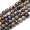Natural Sodalite Beads Strands G-F591-13-01-2