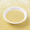 MIYUKI Round Rocailles Beads SEED-X0054-RR0273-2