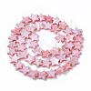 Freshwater Shell Beads Strands X-SHEL-T014-009F-2