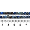 Dyed Natural Regalite/Imperial Jasper/Sea Sediment Jasper Beads Strands G-B124-C04-02-3