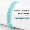 Olycraft 2 Strands Natural Amazonite Beads Strands G-OC0005-35-4