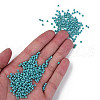 8/0 Czech Opaque Glass Seed Beads SEED-N004-003A-30-5