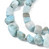 Natural Larimar Beads Strands G-K203-48-3