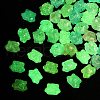 Luminous Transparent Acrylic Beads OACR-B031-19-4