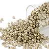 TOHO Round Seed Beads X-SEED-TR08-1700-1