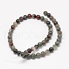 Natural Bloodstone Beads Strands G-P025-21-12mm-2