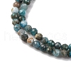Natural Apatite Beads Strands G-RM241221-B12-4