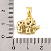 Rack Plating Brass Micro Pave Orange Cubic Zirconia Pendants KK-K367-03G-3