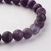 Natural Amethyst Beads Stretch Bracelets BJEW-JB02445-04-2