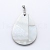 Brass Paua Shell Teardrop Pendants SSHEL-F0006-58-2